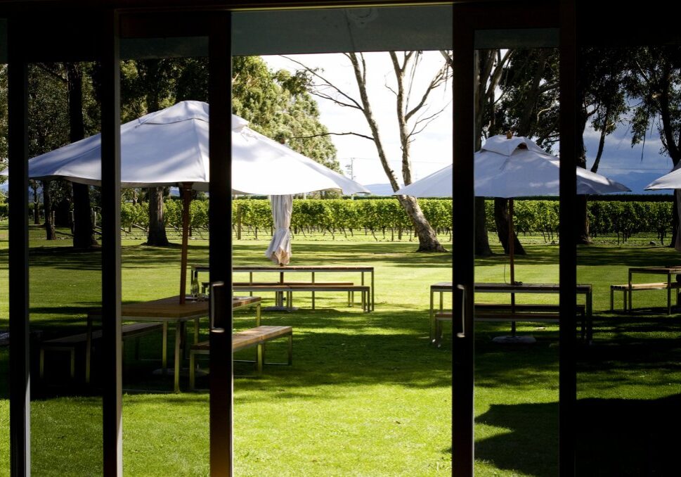 Modern Vineyard Storm Windows