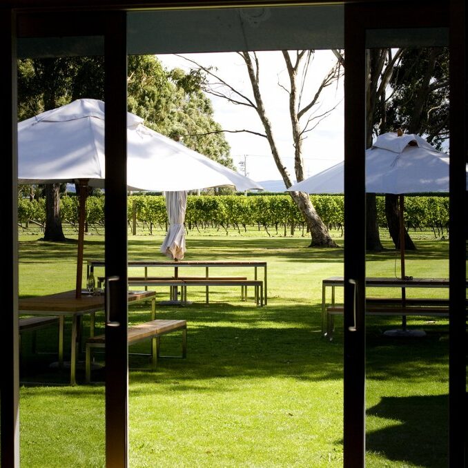 Modern Vineyard Storm Windows